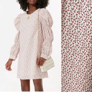 Hyacinth House Textured Ditsy Floral Puff Sleeve Clemons Floral Mini Dress Large